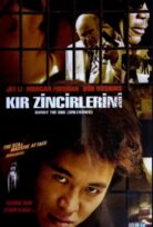 Kır Zincirlerini izle