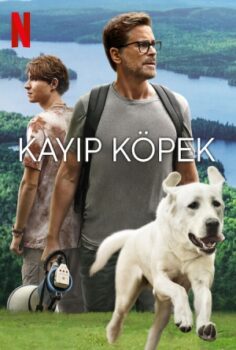 Kayıp Köpek izle