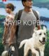 Kayıp Köpek izle