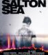 The Salton Sea izle